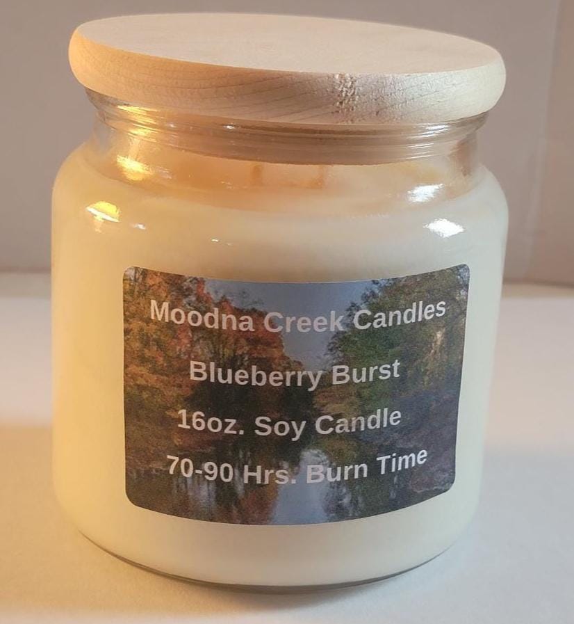 Blueberry Burst Candle – Sweet Fruity Soy Candle – Juicy Blueberry Scent – Summer Home Fragrance